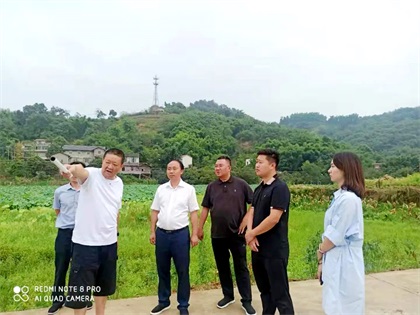 瀘天化股份公司黨委書記、董事長廖廷君調(diào)研納溪現(xiàn)代農(nóng)業(yè)種植園項(xiàng)目